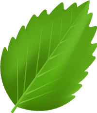 Hoja Derecha Arriba