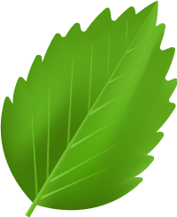 Hoja Izquierda