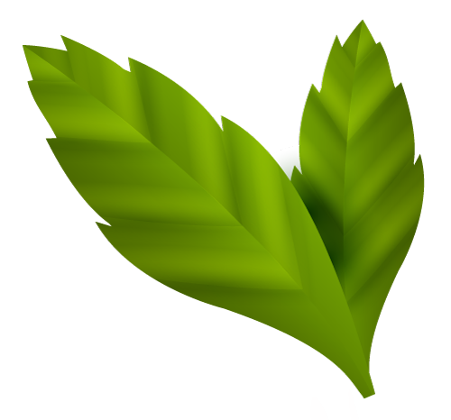 Hoja izquierda