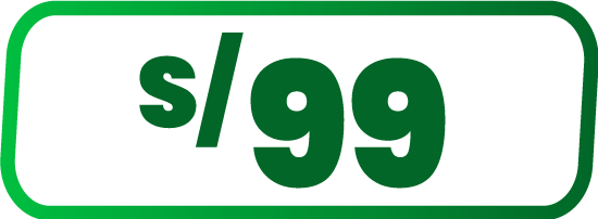 Precio S/ 99
